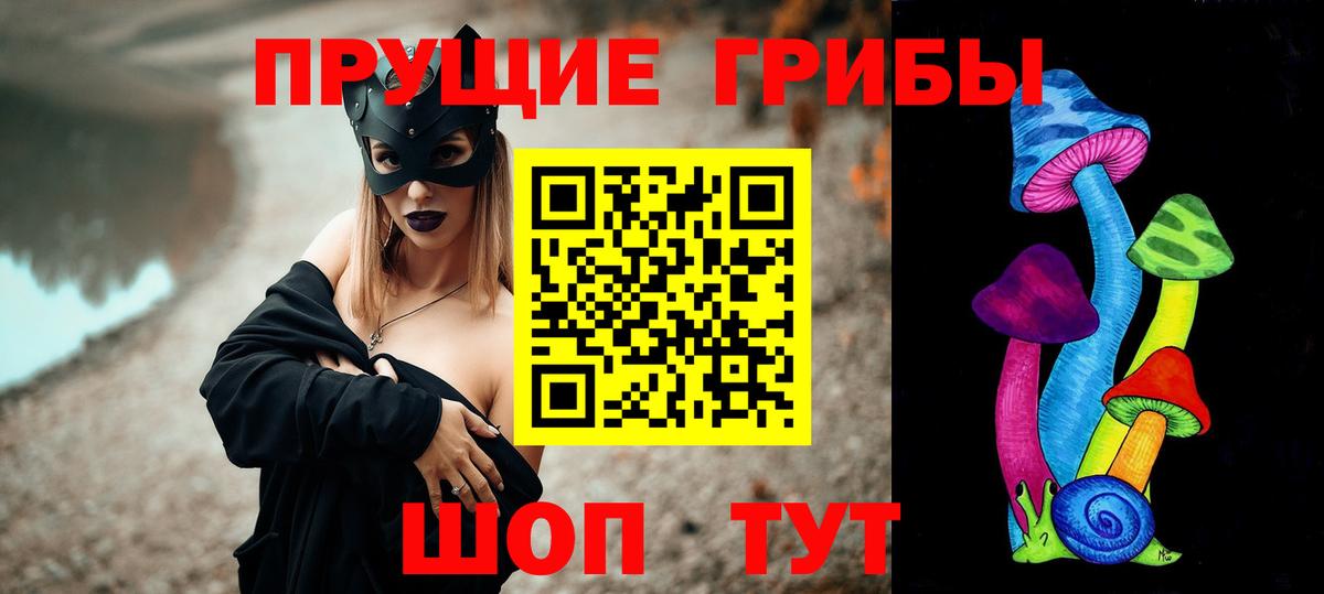 Саранск  Псилоцибиновые грибы MAGIC MUSHROOMS  Вход с VPN  Псилоцибиновые грибы Psilocybe 